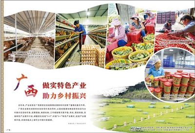 廣西 做實特色產(chǎn)業(yè)，激發(fā)農(nóng)產(chǎn)品生產(chǎn)活力，助推鄉(xiāng)村振興