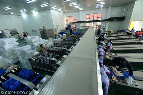 太倉農(nóng)產(chǎn)品生產(chǎn)穩(wěn)定，市場供應(yīng)有保障