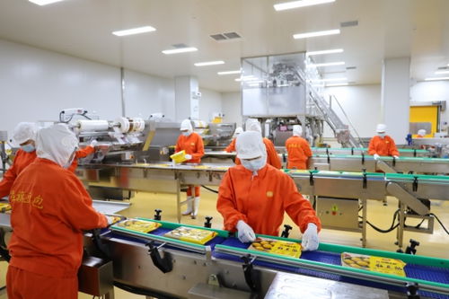 衡水農(nóng)產(chǎn)品生產(chǎn) 從傳統(tǒng)耕作到現(xiàn)代化農(nóng)業(yè)的轉(zhuǎn)型升級