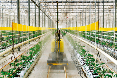 完善三大體系，筑牢農(nóng)產(chǎn)品生產(chǎn)基石，助推鄉(xiāng)村產(chǎn)業(yè)振興